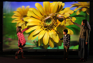 Японцы продемонстрировали крупнейший в мире 3D-экран