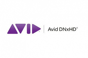 Поддержка видеокодека Avid DNxHD для AJA Ki Pro Mini
